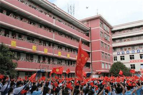 小学教师教育读书心得体会