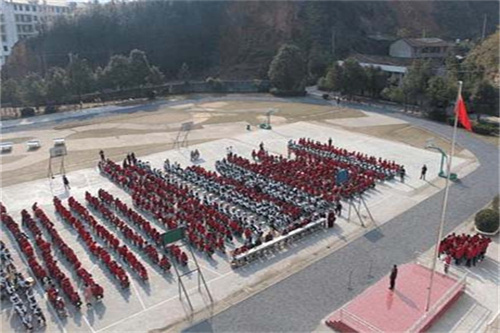 小学参观农场观后感(范文6篇)