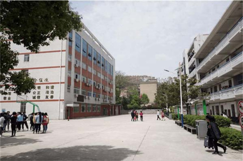 小学教师上半年计划怎么写7篇