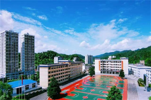 大学转学申请书