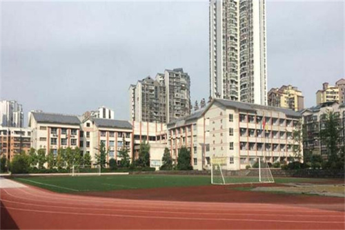 小学生学习口号