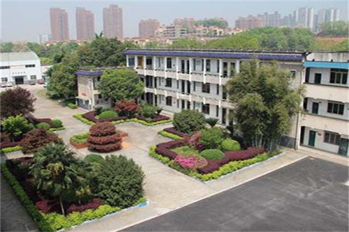 小学生学习口号